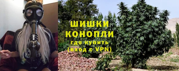 ГАЛЛЮЦИНОГЕННЫЕ ГРИБЫ Балабаново