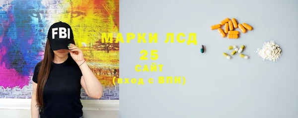 ПСИЛОЦИБИНОВЫЕ ГРИБЫ Баксан