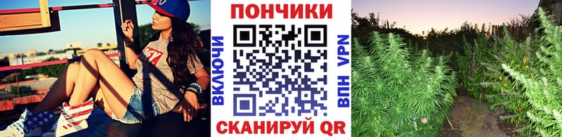 Каннабис MAZAR Бирск